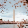 Washington